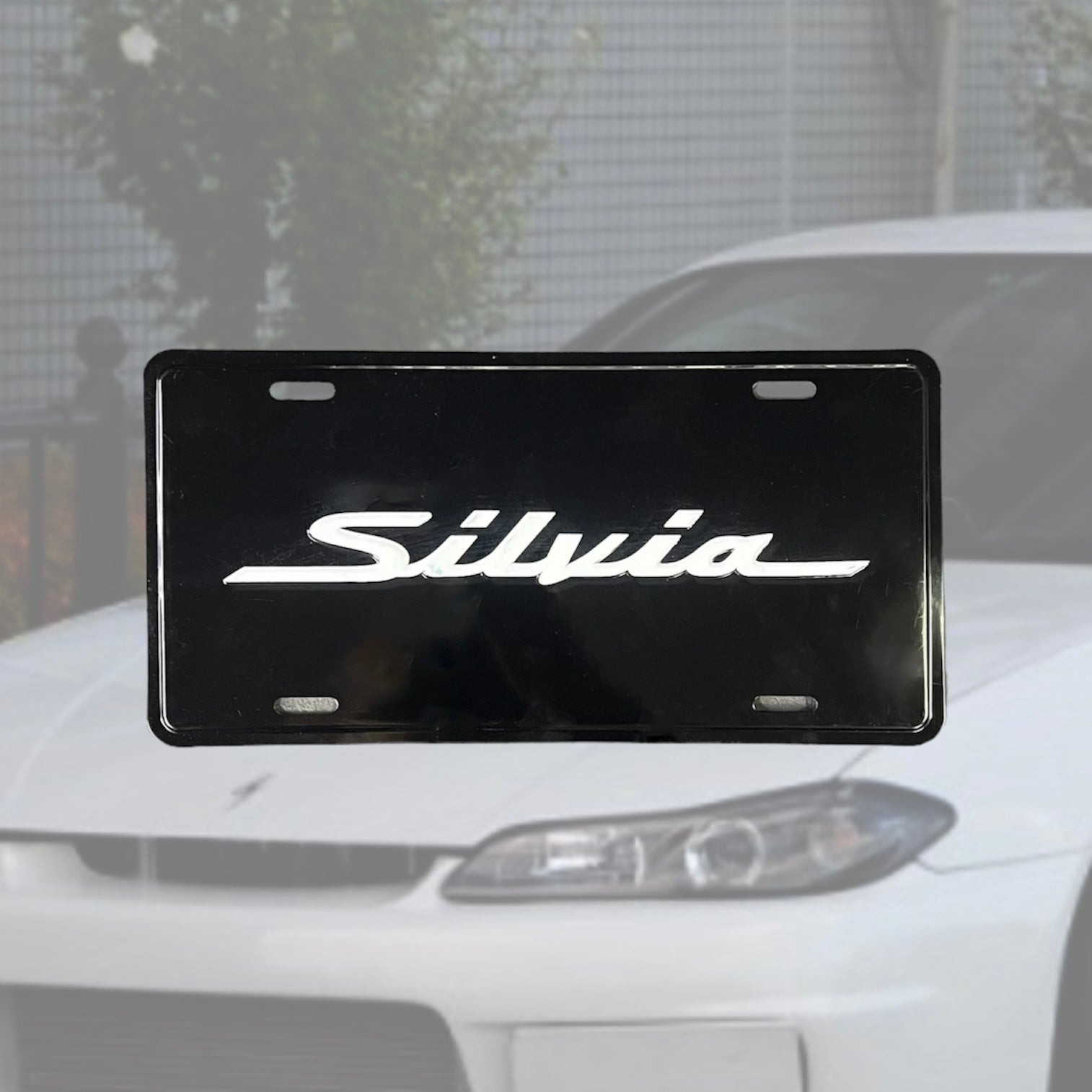 Silvia Dealer Plates – Illumaesthetic